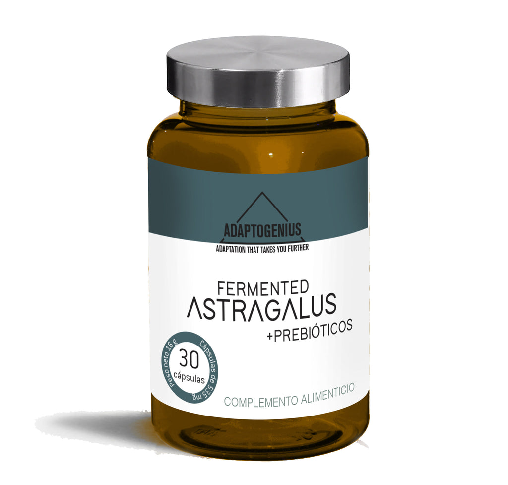 Adaptogenius Astragalus
