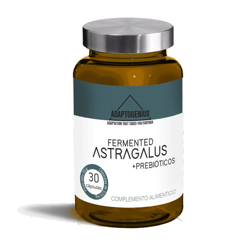Adaptogenius Astragalus