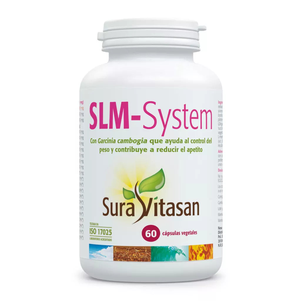 SLM-System